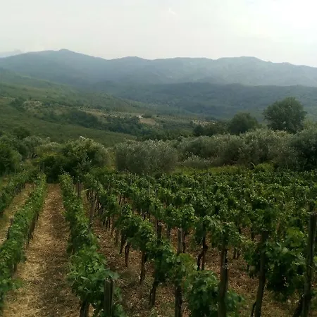 Agriturismo Tre Morene-2
